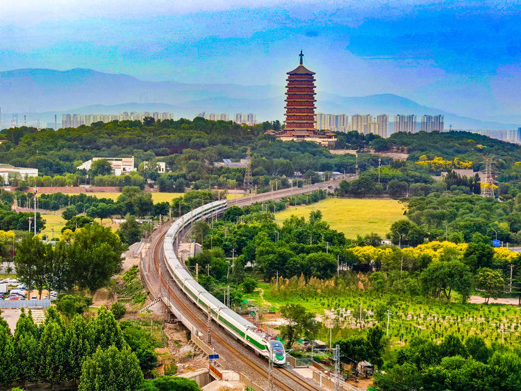 拾光而來(lái)，終遇花開(kāi)